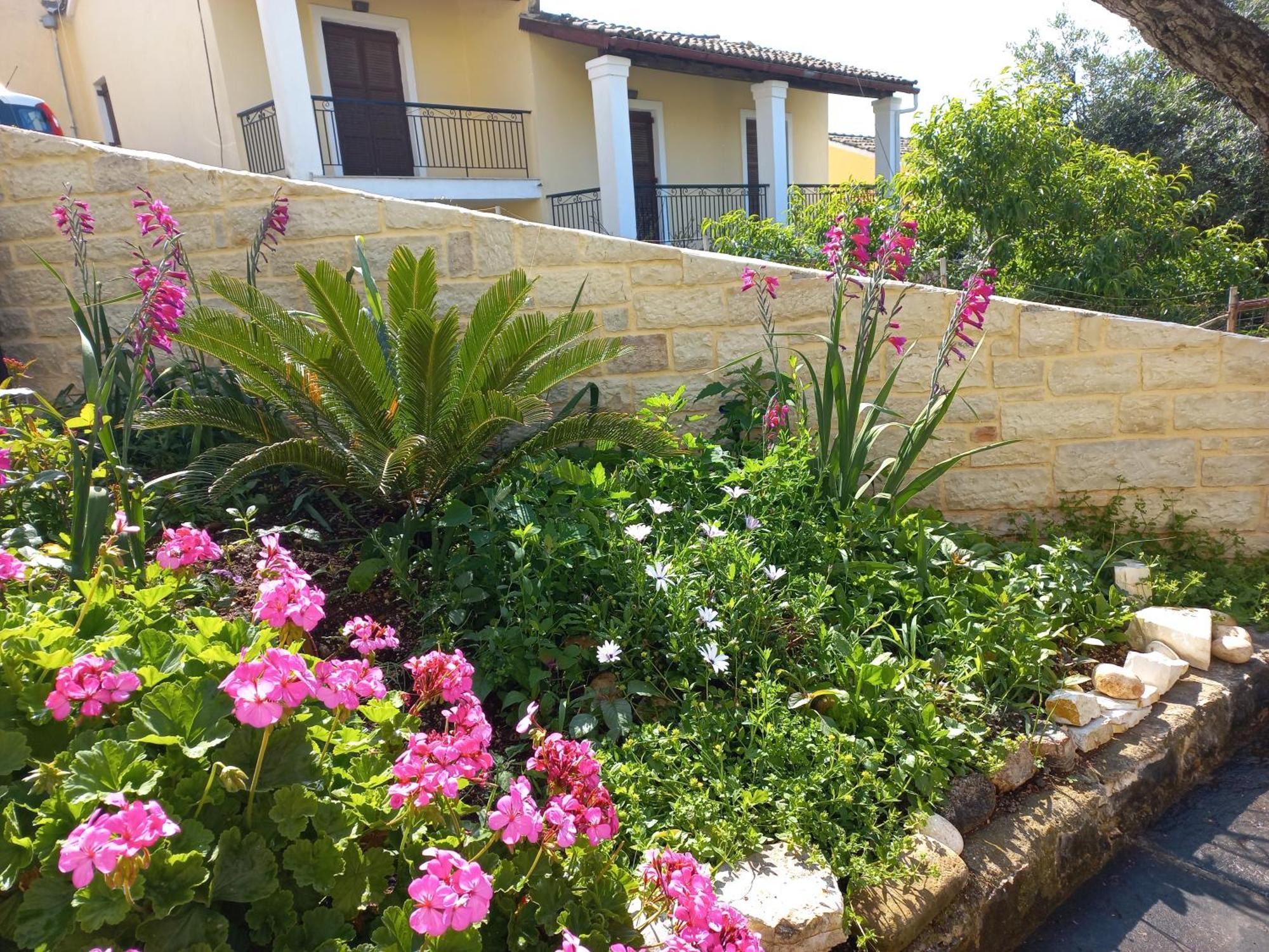 Oneiro House Apartment Kassiopi Ngoại thất bức ảnh